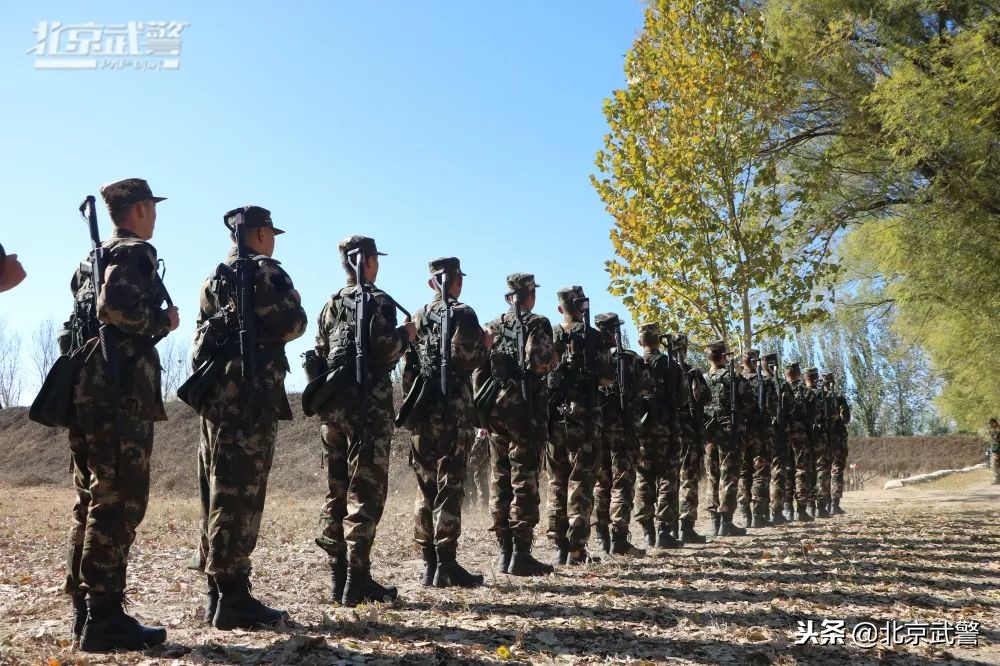 枪王还有几场复出,枪王有多少段