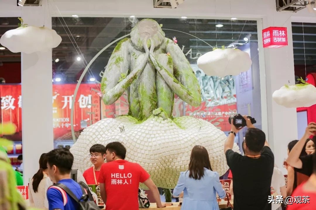 茶界创新还要看雨林