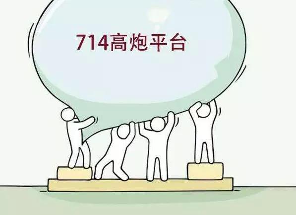 现在哪些网贷属于黑网贷,网贷是金融借贷还是民间借贷