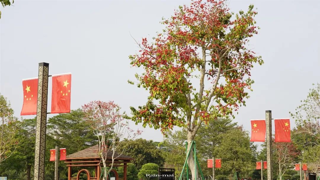 广州地铁22号线离增城距离多远,增城地铁21号线增城广场站