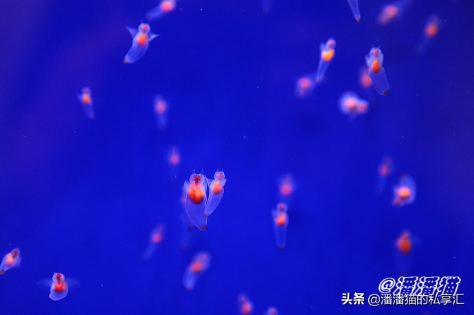 雪国和冰雪,雪国旅游