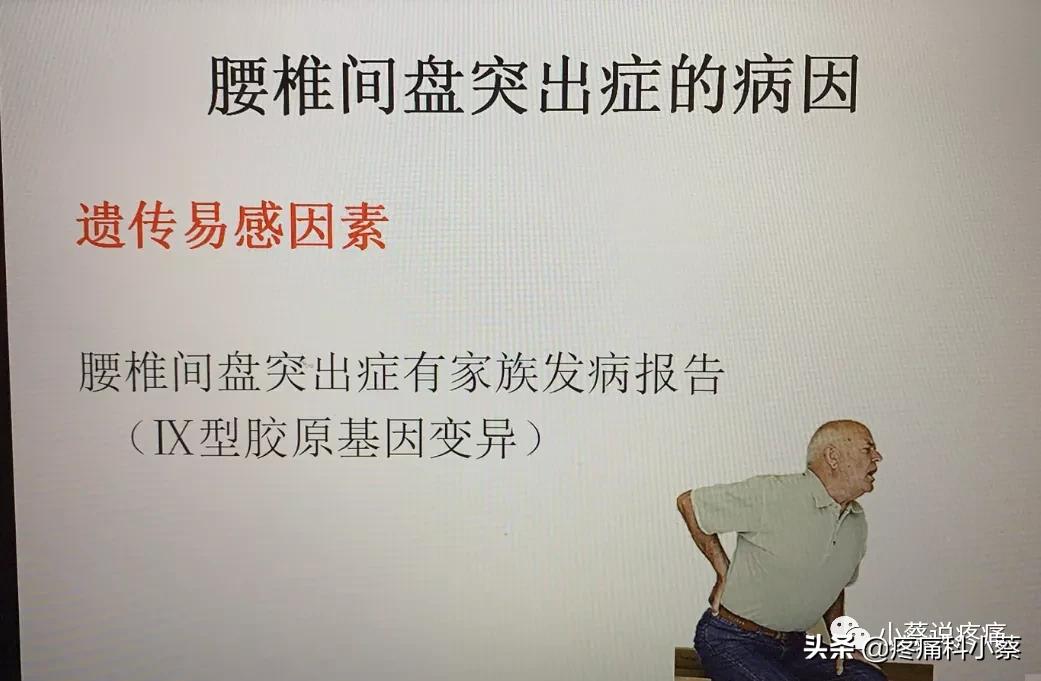 蔡主任讲座视频,蔡主任团队