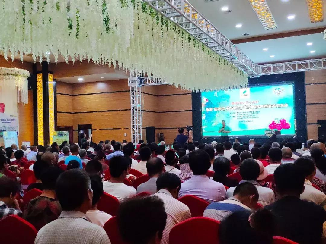 德国康朴诺泰克水溶肥有限公司,康朴诺泰克复合肥效果好吗