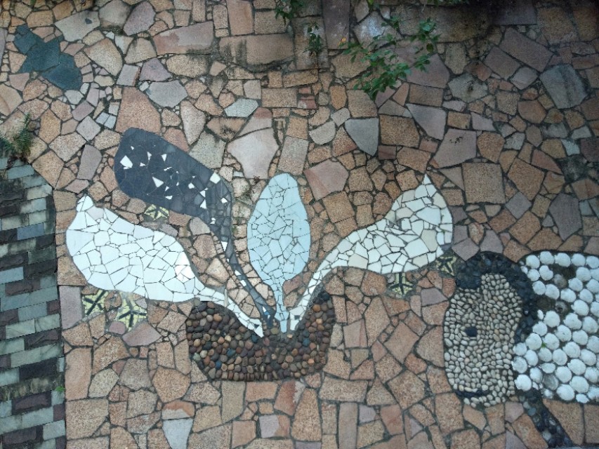 珠海的特色是什么,珠海的吉大是什么