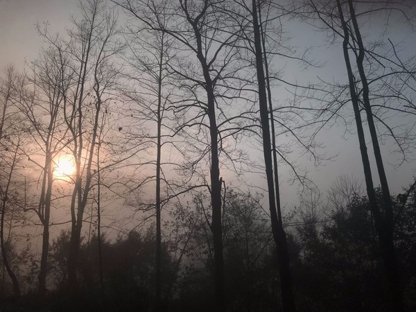 鑺掑競鍜岃吘鍐茬憺涓藉摢涓ソ,鑵惧啿鐟炰附鑺掑競瑗垮弻鐗堢撼