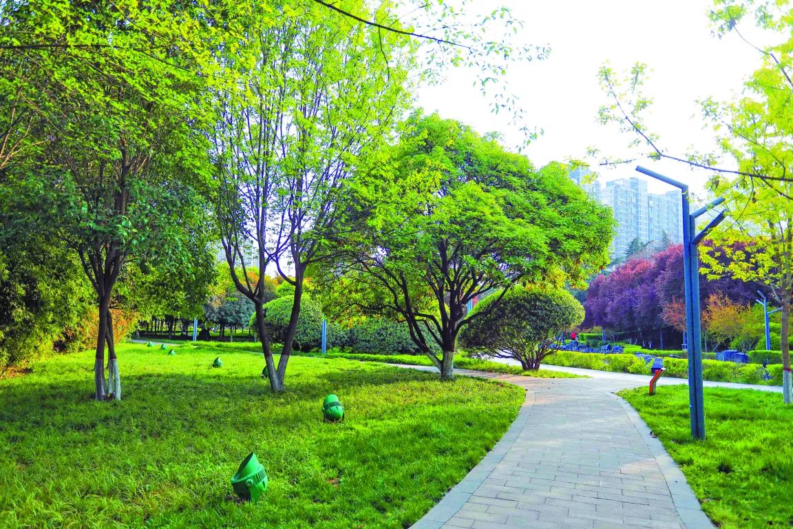 全运托起健身梦全民刮起“运动风”高新公园里的健身场所，藏不住啦！