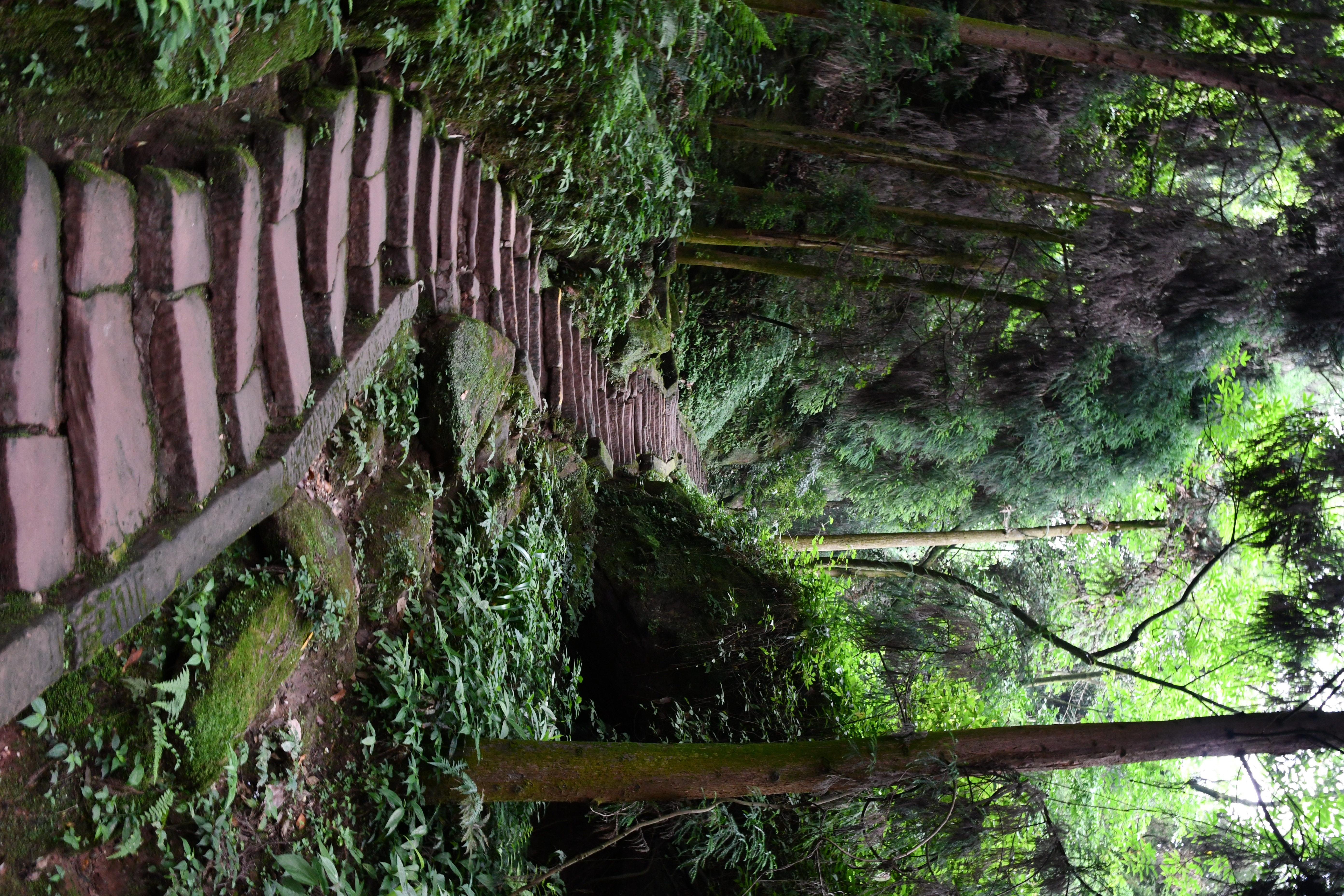 青城山一日游全攻略,乐山峨眉山青城山游攻略