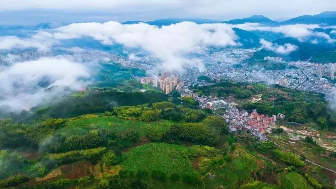 浙江省政府新闻发布会在线直播,浙江政府新闻办新闻发布会