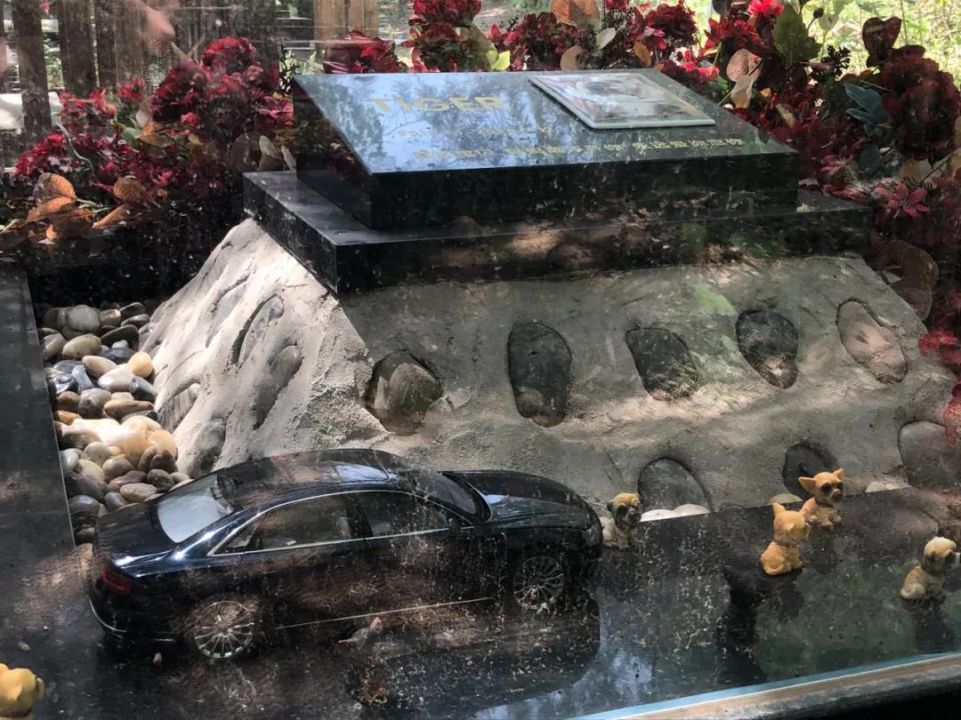 宠物火化宠物陪葬怎么处理,宠物殡葬火化兔子