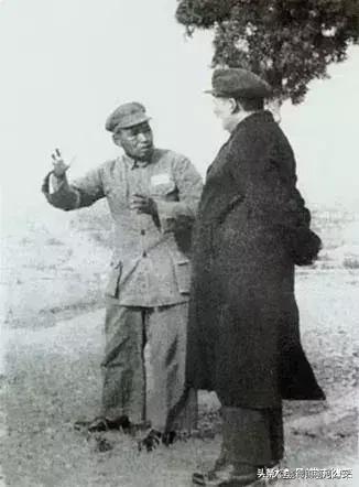 毛*东泽**扬长避短的用人之道