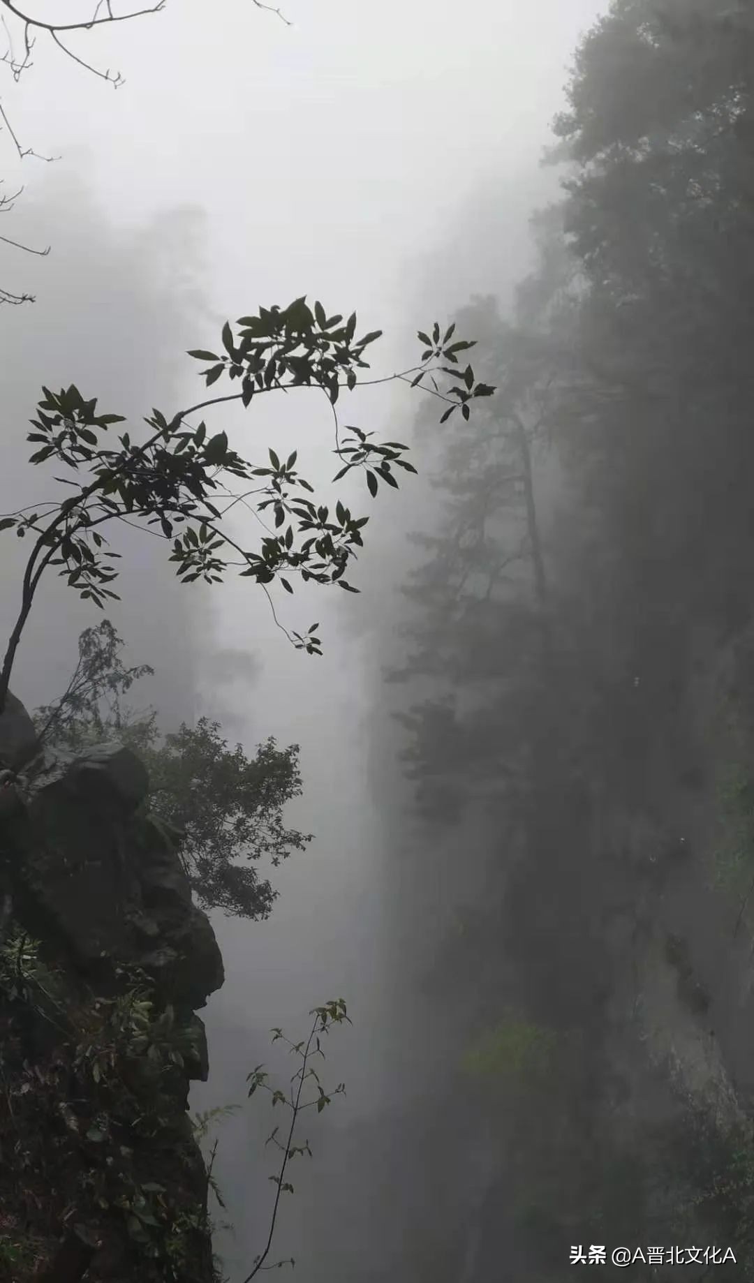 河曲赵云生｜神游张家界