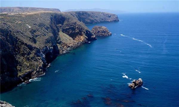 厄瓜多尔产的南美白虾好吃吗,厄瓜多尔南美白虾营养价值