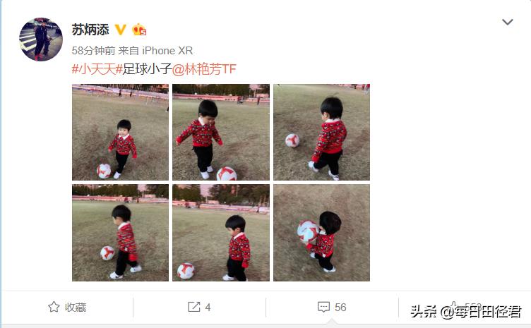 亚洲飞人苏炳添特写200字,飞人苏炳添简历