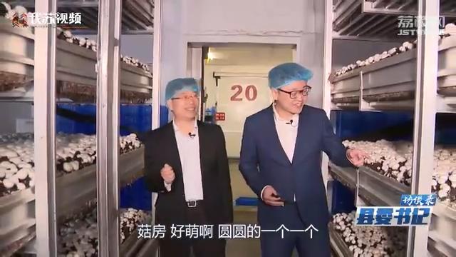 灌南县的未来发展之路,从产业地到产业高地的转变