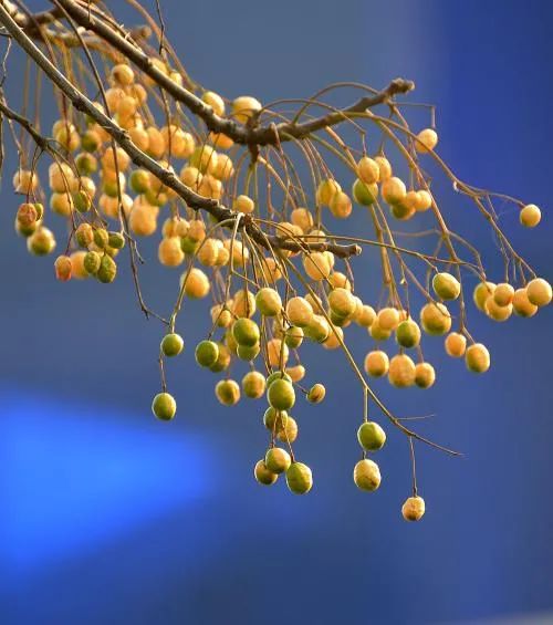 五年前你用过的护肤品,40年前的高档护肤品