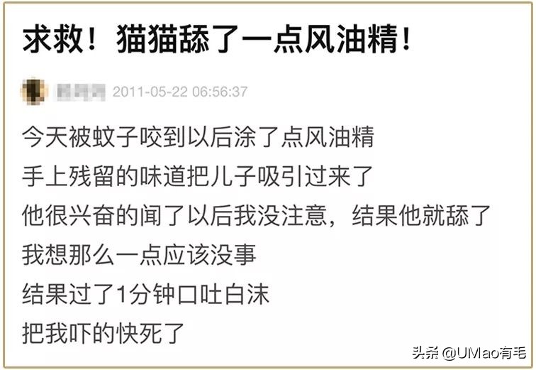 夏季会害了猫的7个行为,夏天对猫咪排泄有影响吗