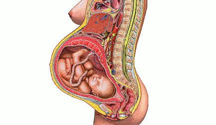 很注意卫生了，为什么还是总得妇科病？