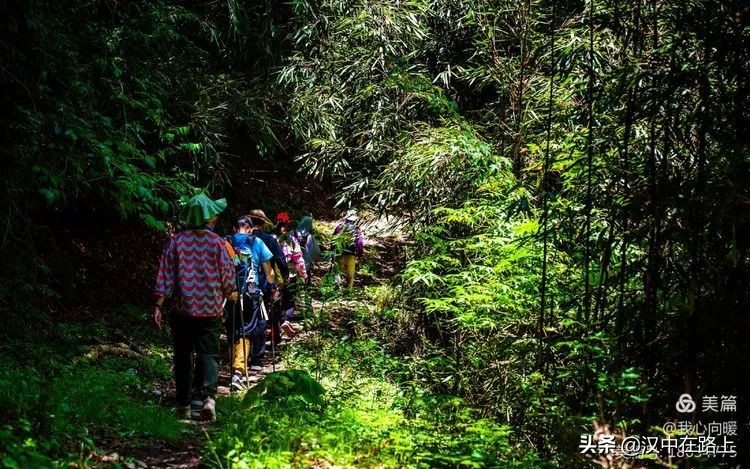 汉中圈子崖天坑,汉中镇巴圈子崖天坑旅游攻略