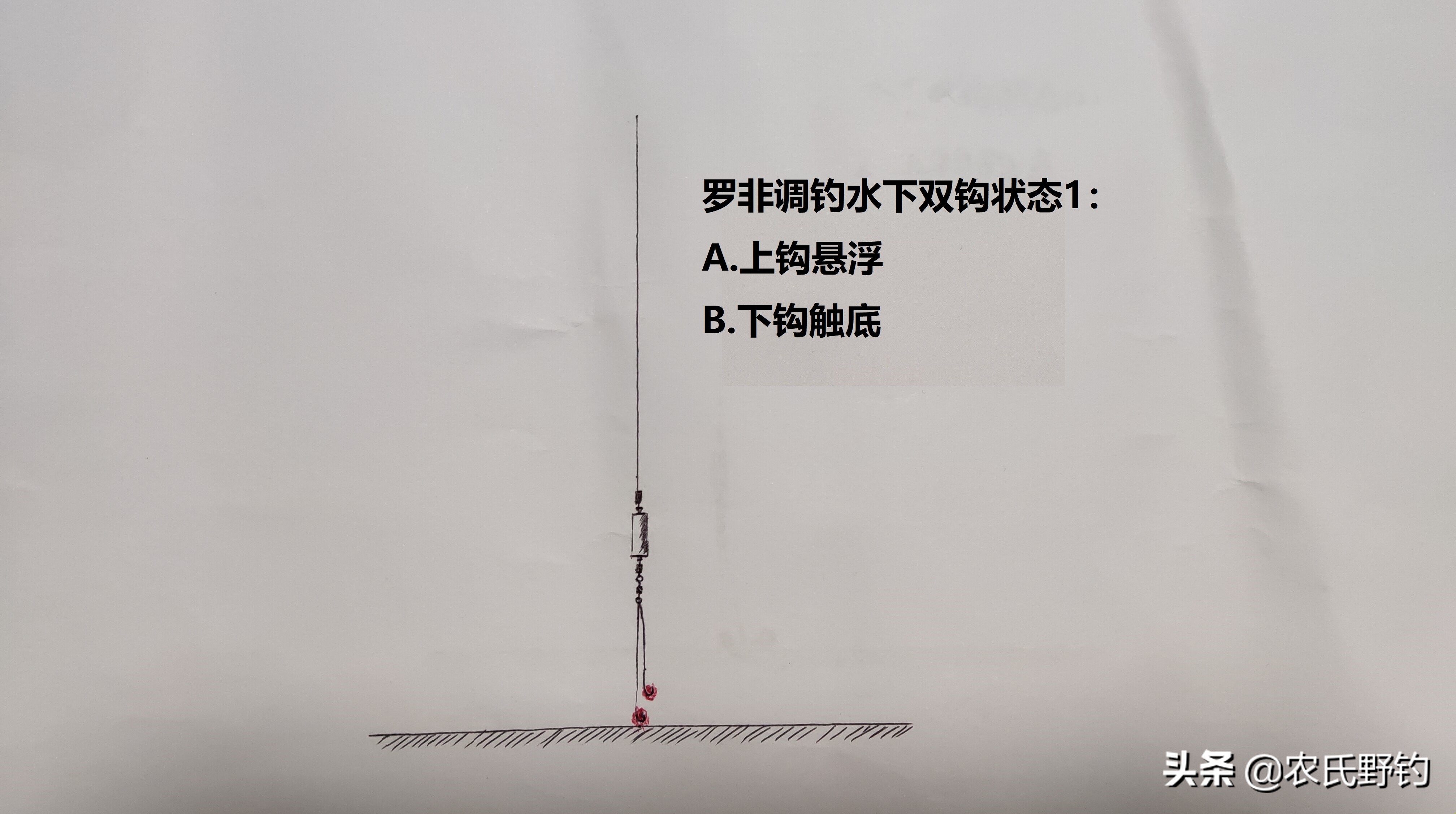 怎么钓大罗非避开小罗非,钓小罗非怎么钓到大罗非