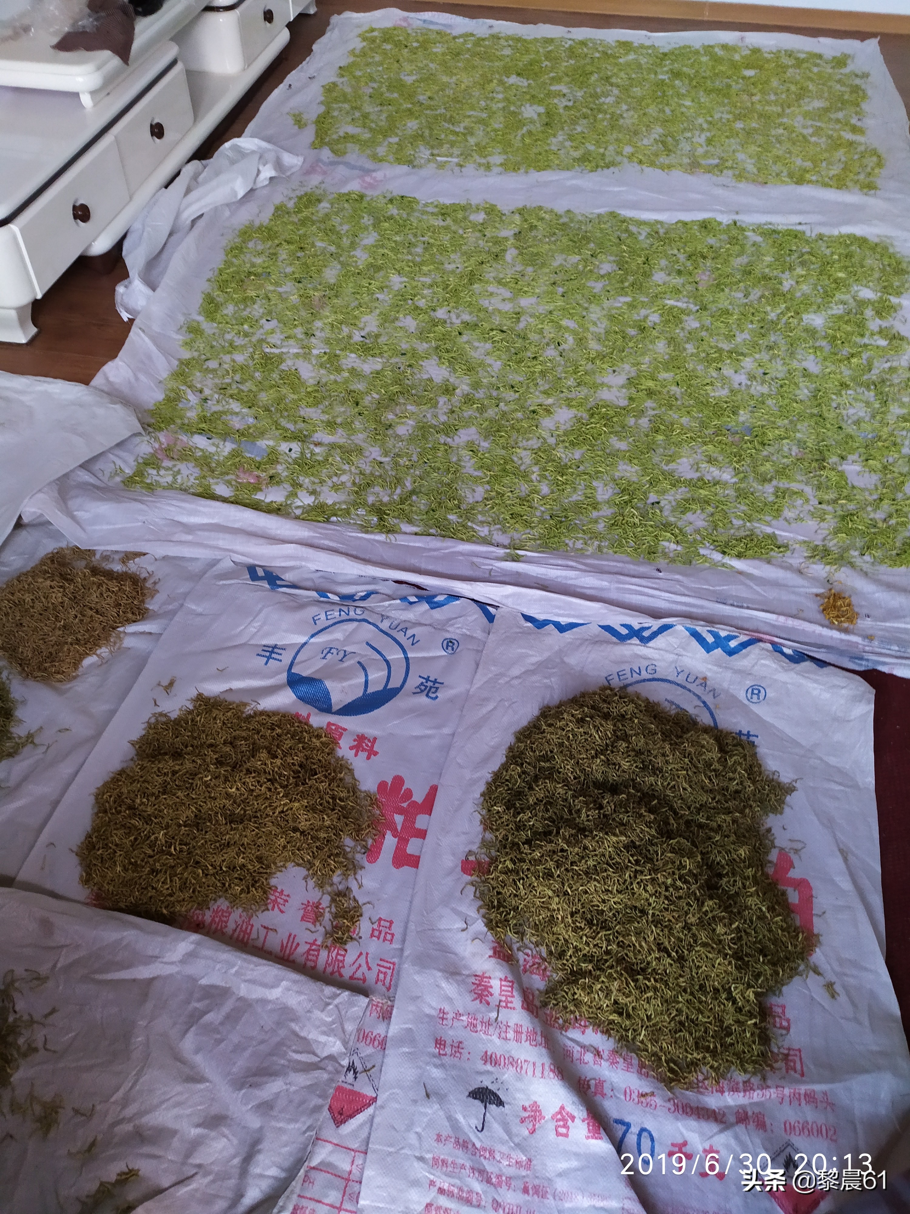 金银花怎么加工才能保住质量,自制金银花全过程