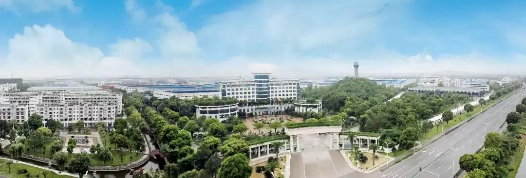 宁波营收最高的公司前十排名,宁波最赚钱的10大行业