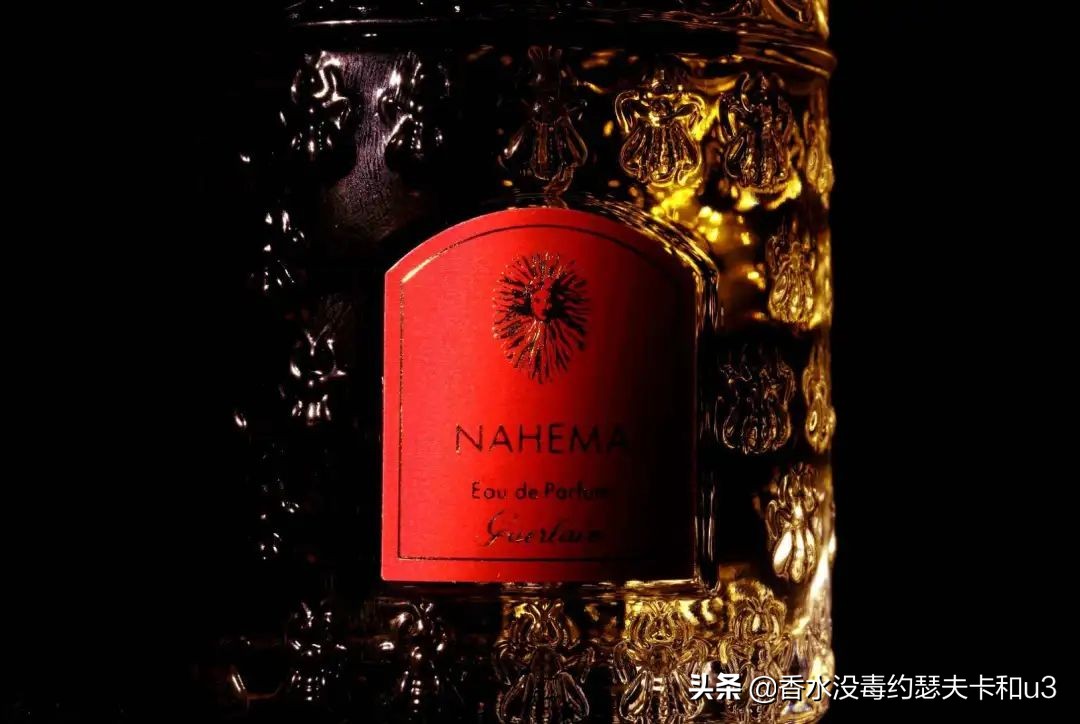 葡萄果香香水推荐,红酒玫瑰香水