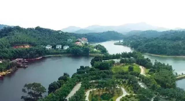 五一广东游玩攻略人少,五一广东免费的旅游景点