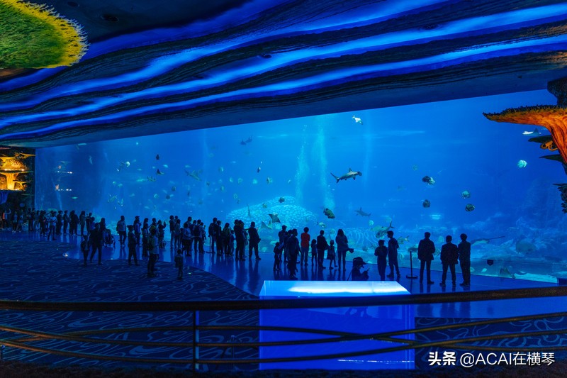 吃喝玩乐in珠海,珠海吃喝玩乐一体的地方