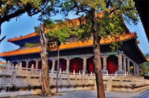 山东孔林为何能乌鸦远避，蛇类不侵？老祖宗的智慧让人叹服