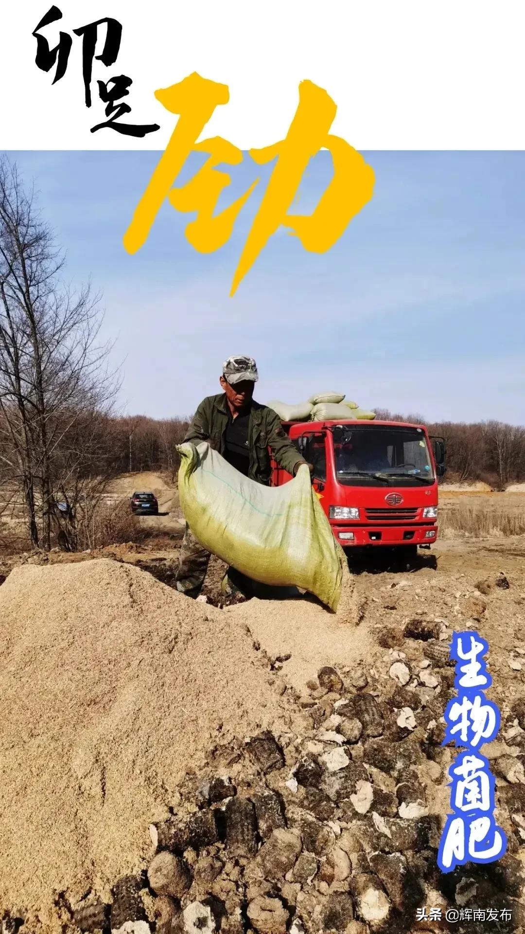 双龙村水田,辉南镇双龙村篮球赛