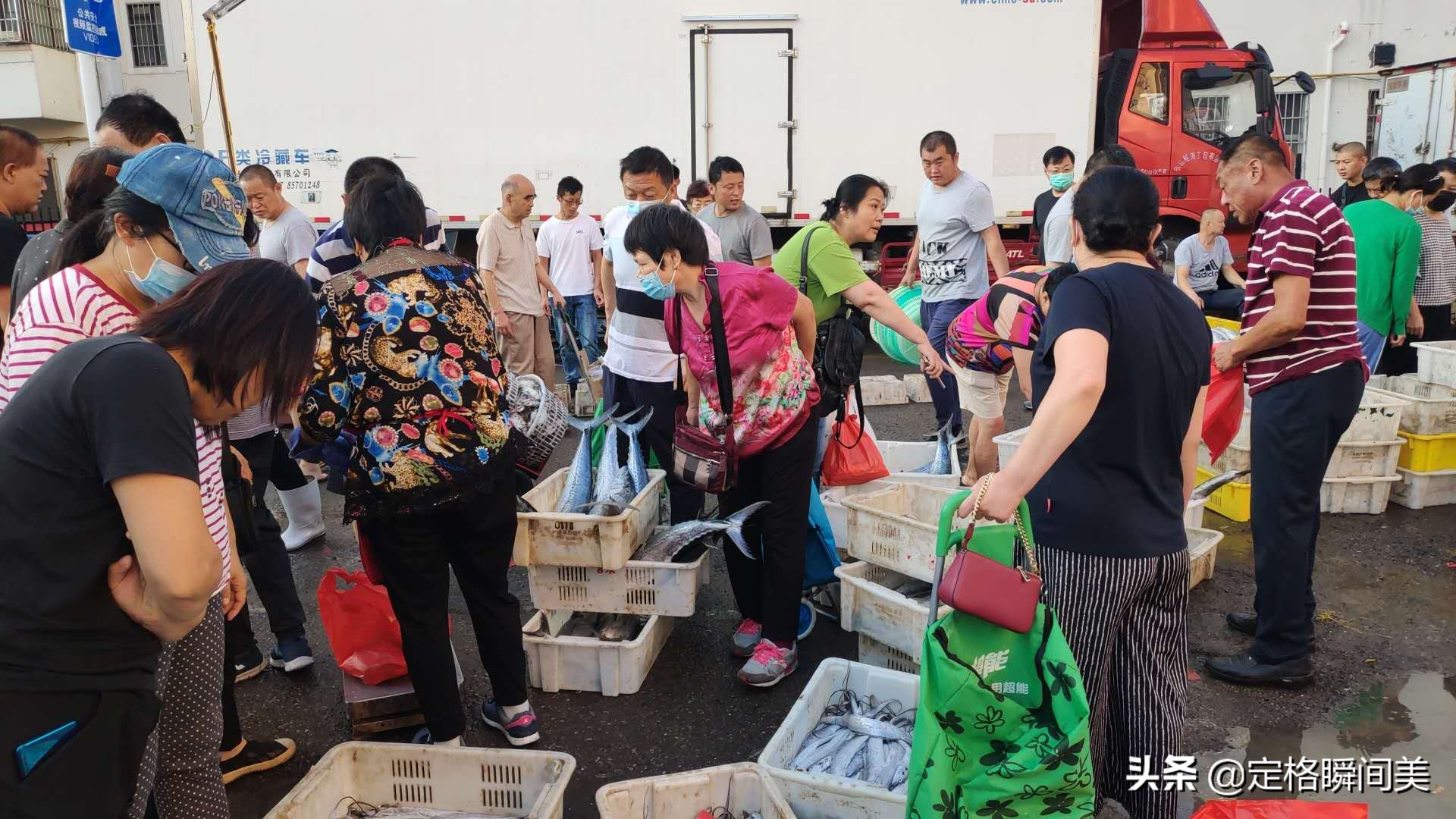 6块钱一斤，青岛开海第一波海货进市区，街头人挤人生意真红火