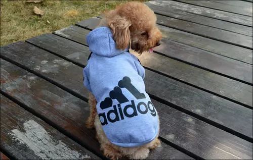 阿迪达斯变身鞋,阿迪达斯adios爆改