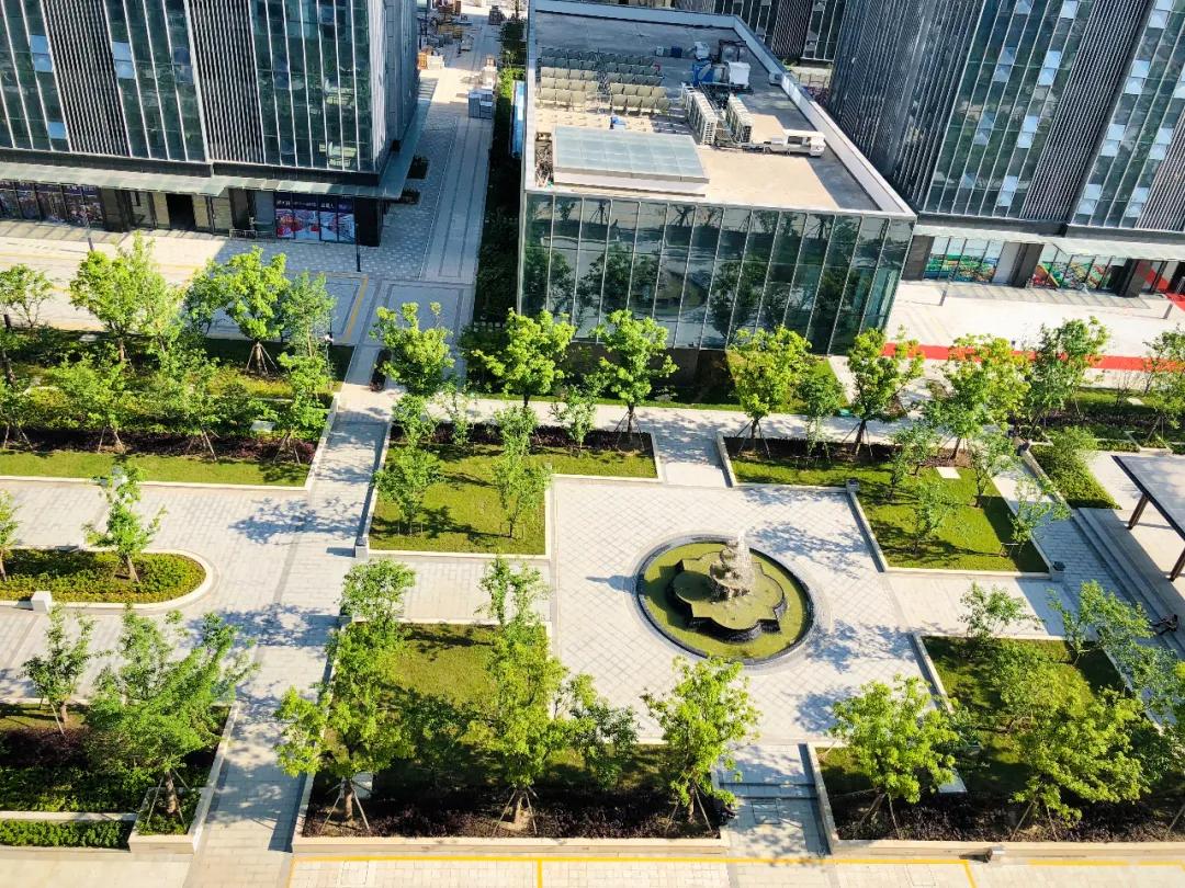 太惊喜！这家高品质项目不声不响卖到第一，独家内幕被曝光