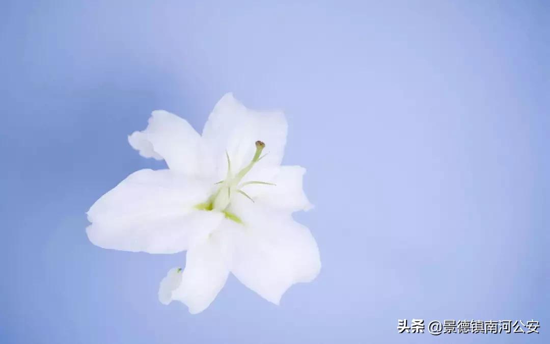 愿你越来越好的诗句,愿你不负时光的经典诗词