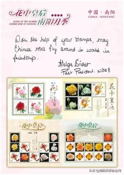 南阳世界月季之乡的金字招牌,聚焦南阳月季之美展示