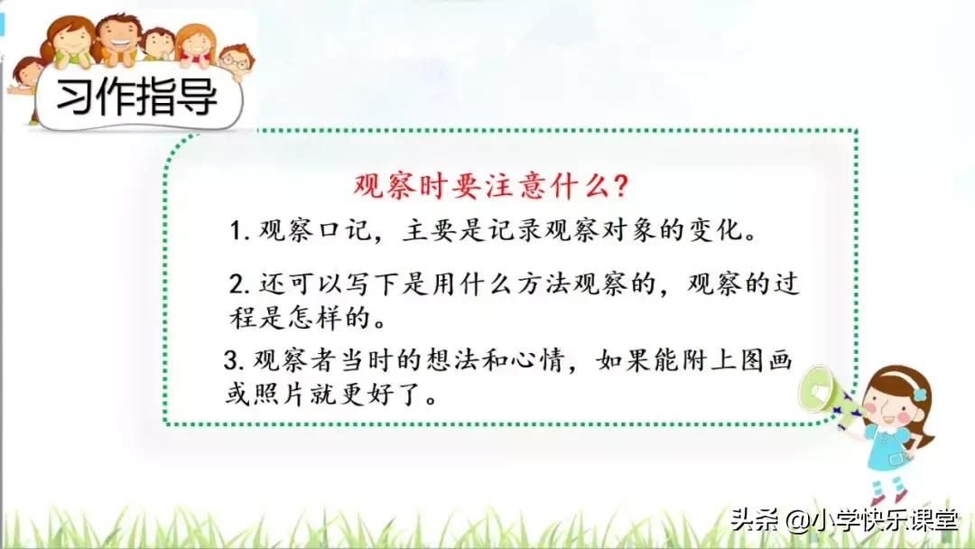 四年级语文第三单元观察日记作文,四年级观察日记400字优秀作文植物