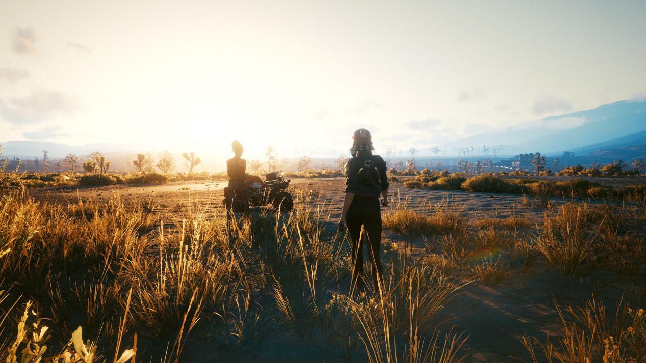 赛博朋克2077观众反应,赛博朋克2077好感度