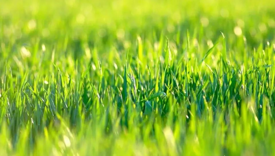 关于宋朝的哲理诗有哪些,宋朝有意境的经典诗句