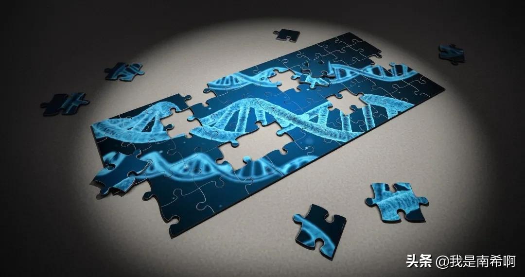 用五步流程实现你的人生愿望,三招实现愿望