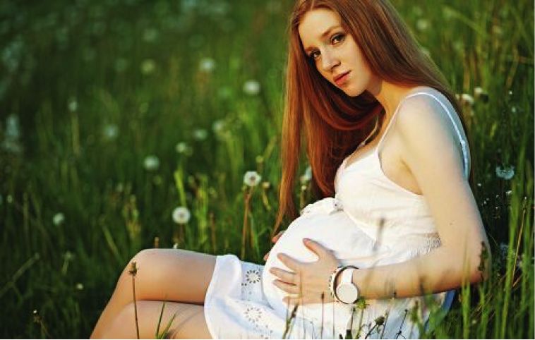 精油闻香体验,精油提取体验