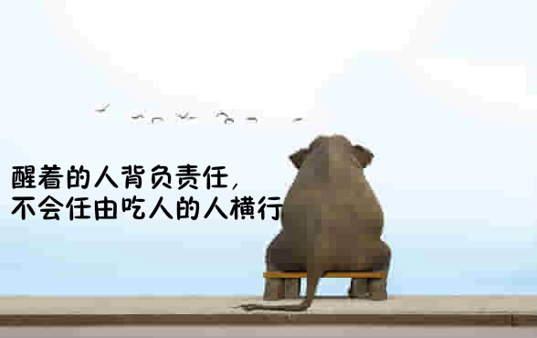 买房打征信需要哪些证件,打征信需要注意什么