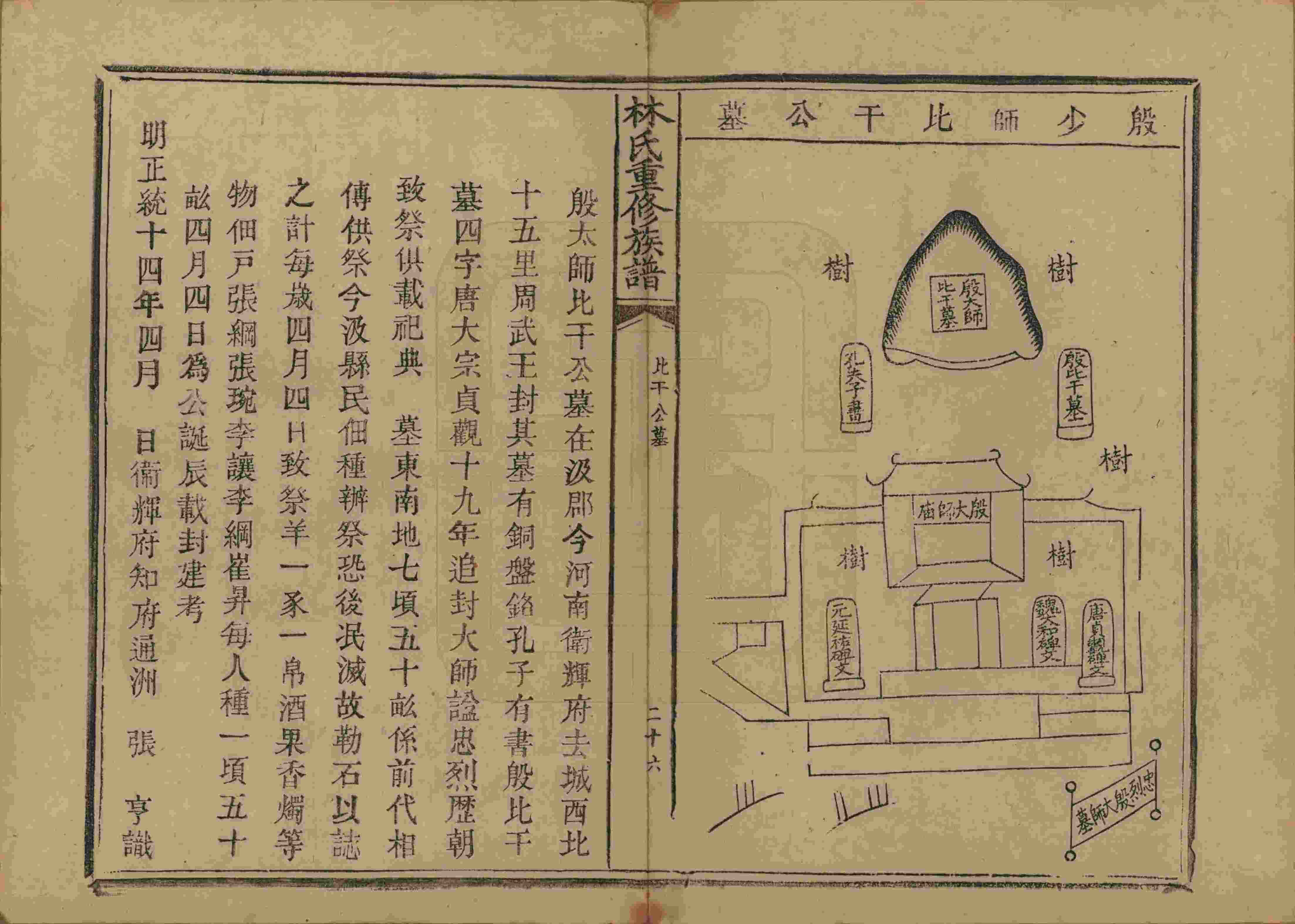 取名字还蛮有意思的,取名字都是有特色的
