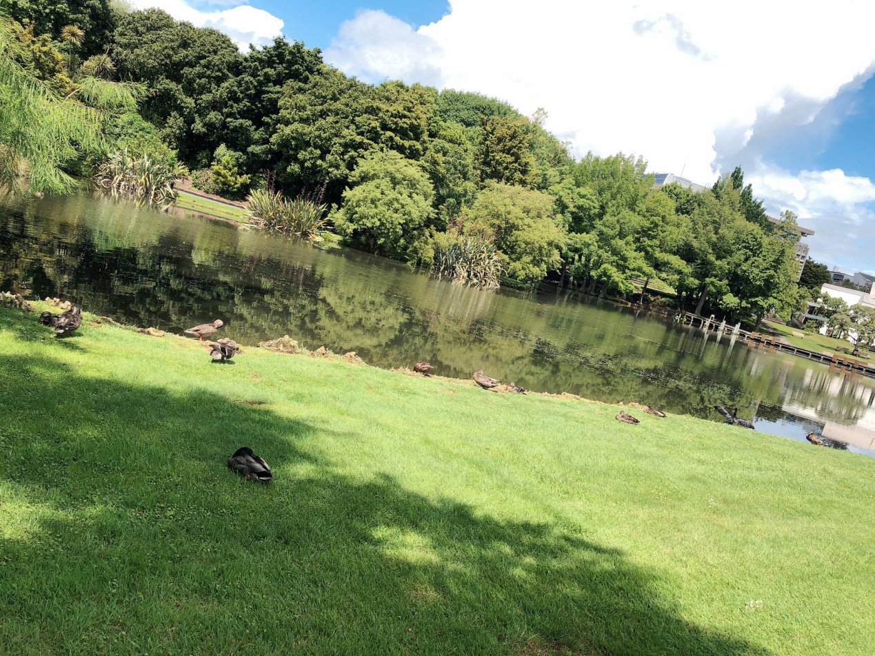 新西兰幼教移民,新西兰幼教专业留学