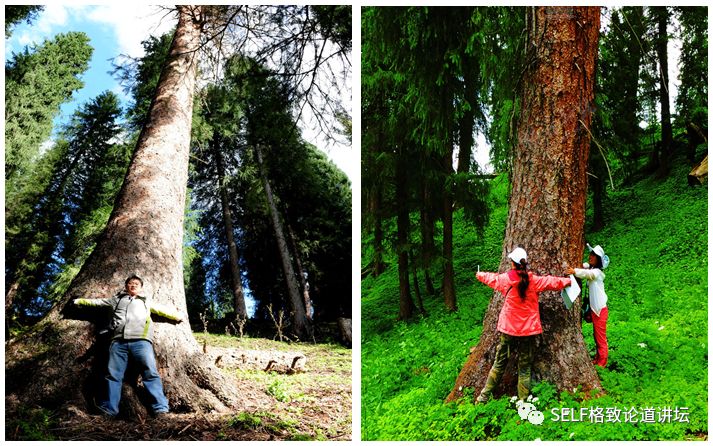 新疆天山世界文化遗产,天山为什么被入选为世界自然遗产