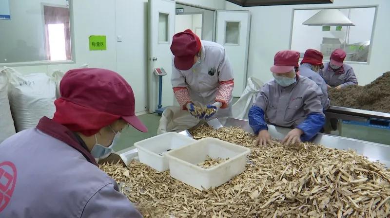 湖北聚瑞生物科技在哪,湖北聚瑞制药