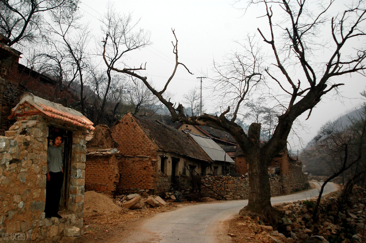 老虎不发威别当我是病猫读春秋(三十九)