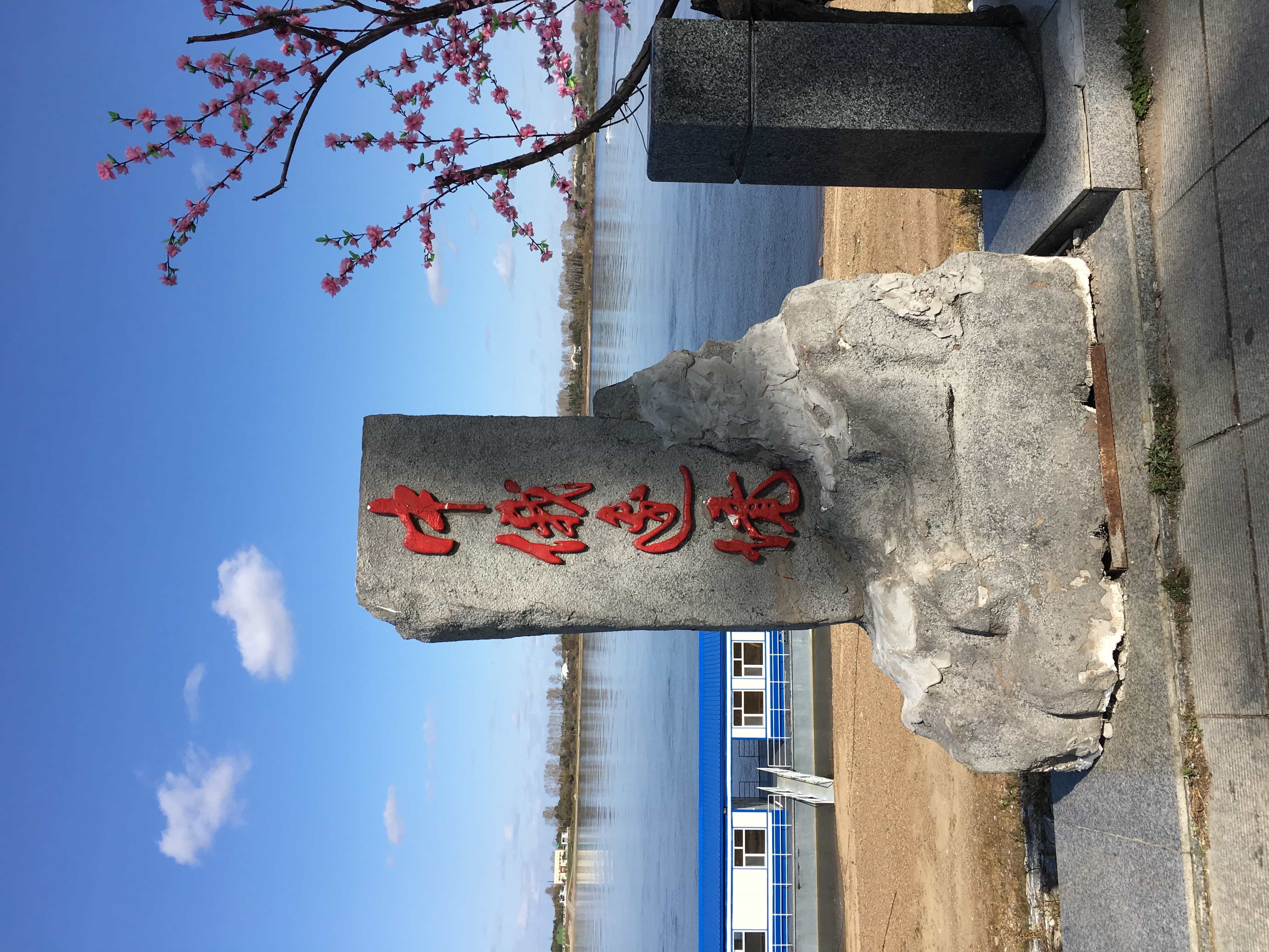 实不相瞒，我就是鹤岗的女婿