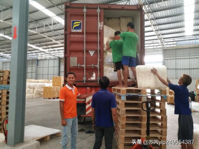 泰国天然乳胶大揭秘,泰国天然乳胶正品