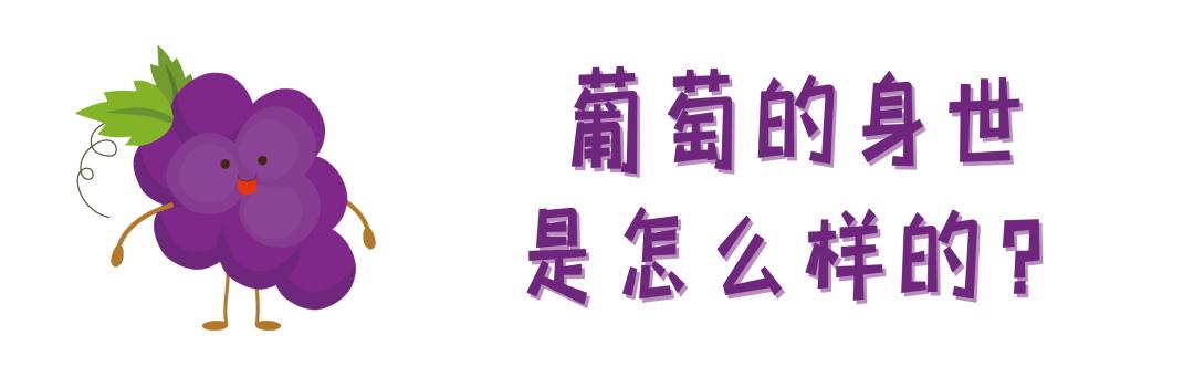 葡萄熟了但很小,葡萄有的熟了有的没熟