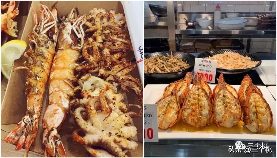 澳洲十二天自由行攻略,澳洲旅游12天自由行攻略